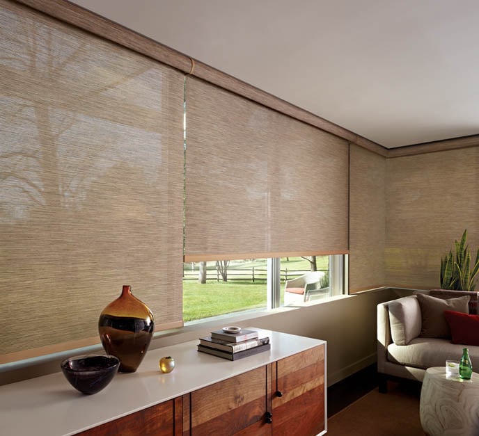 Product Spotlight Hunter Douglas Designer Screen Shades
